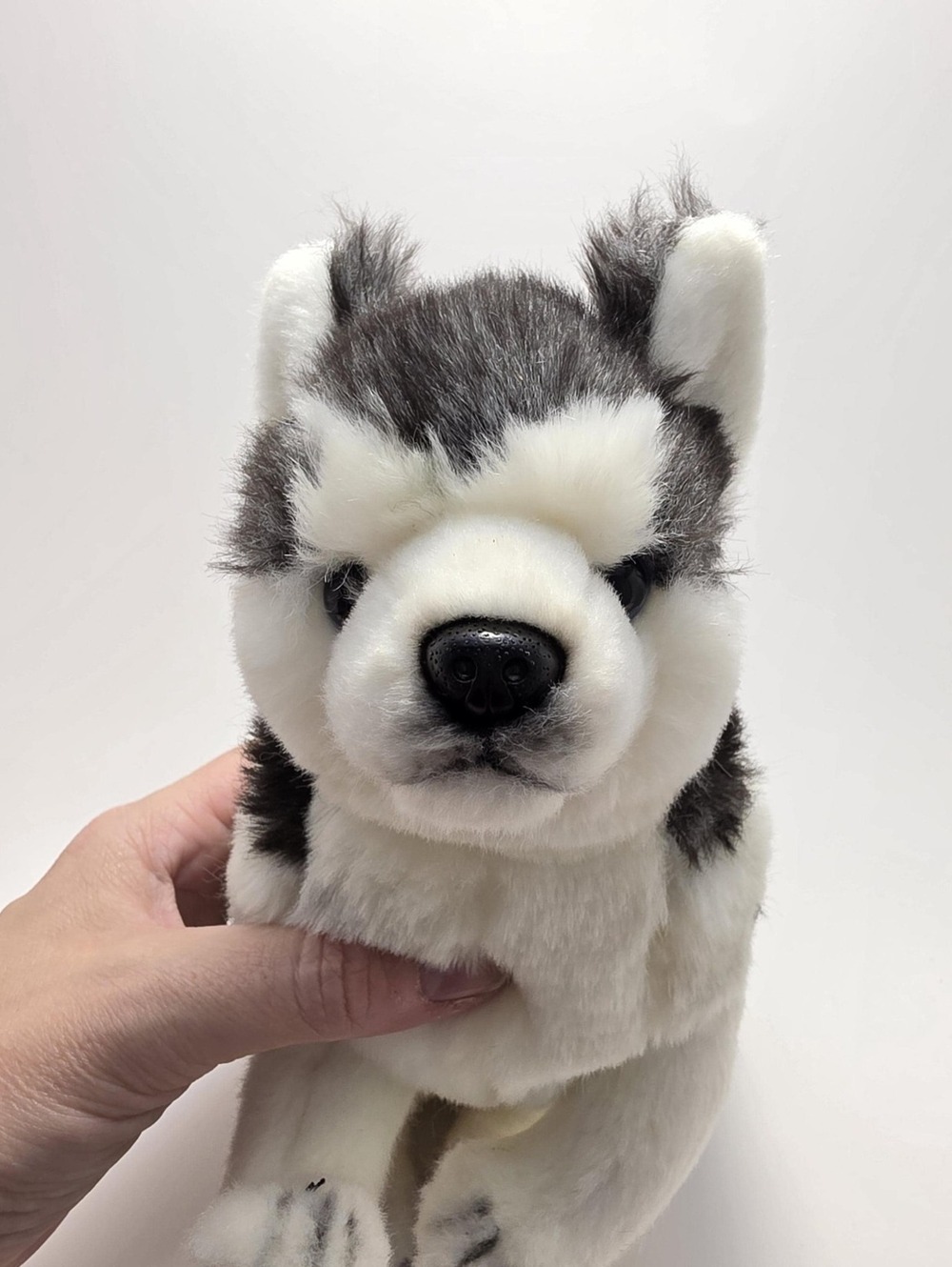 Hansa Collection Wolf Husky Sitting Puppy Dog Plush (9 inch)